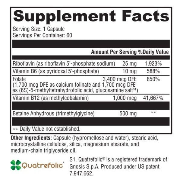 Methylation Guard