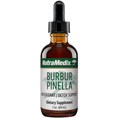 Burbur Pinella Detox Brain nerve